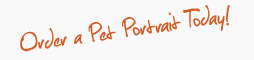 order a pet portrait today